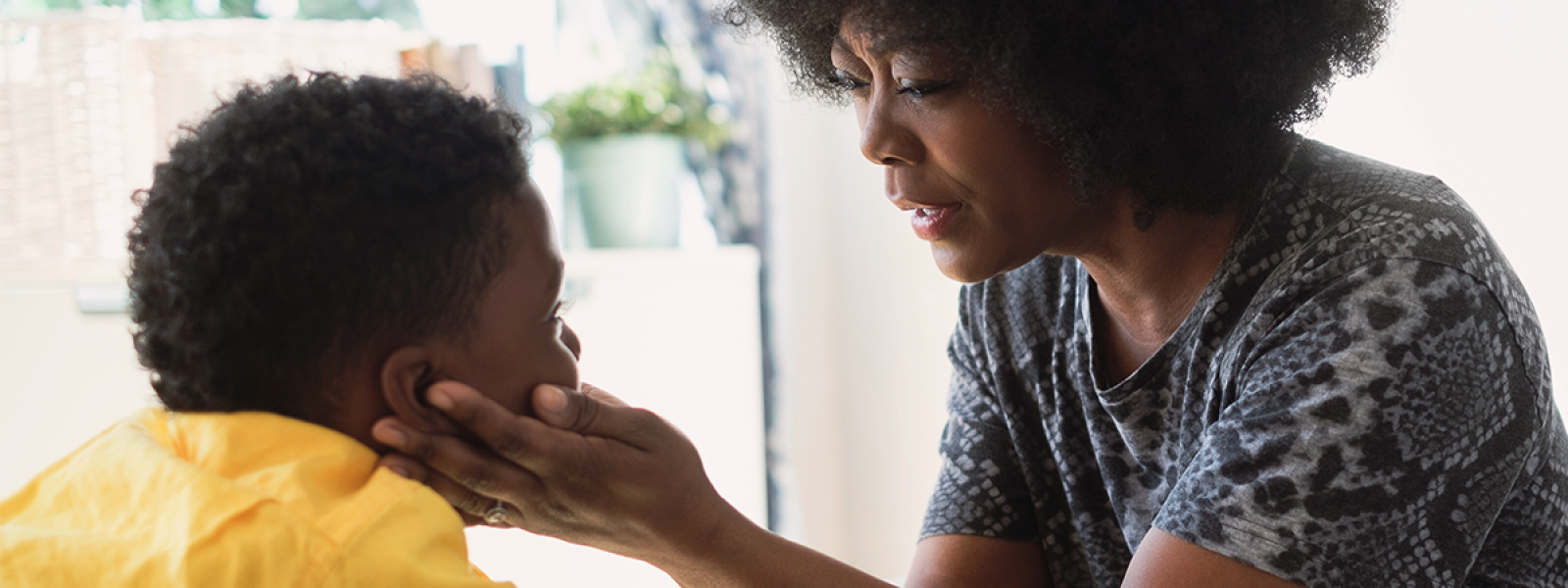 Emotion Coaching image